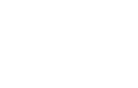 UD Logo